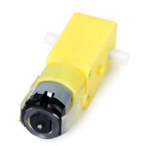 300 RPM Dual Shaft BO Motor-Straight
