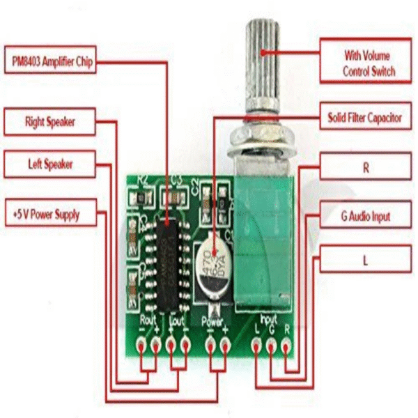 PAM 8403 Amplifier Module with Knob - Image 2